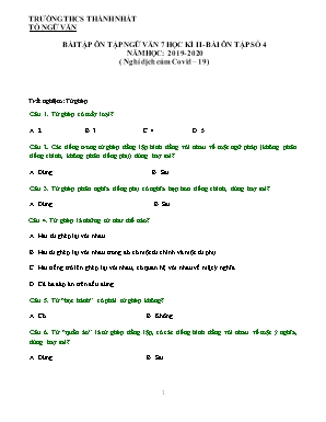 Bài tập ôn tập Ngữ văn 7 học kỳ II - Năm học 2019-2020 - Bài ôn tập số 4 (Nghỉ dịch cúm covid-19) - Trường THCS Thành Nhất